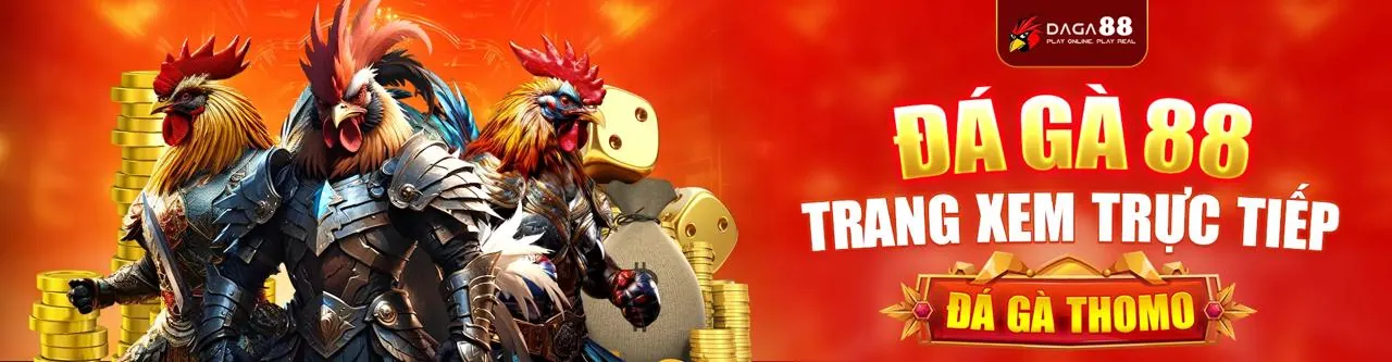Sân đấu gà đá trực tuyến sôi động tại Wi88 nhà cái